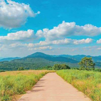 百人牛牛游戏下载手机版