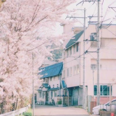 乐鱼竞彩官网截图