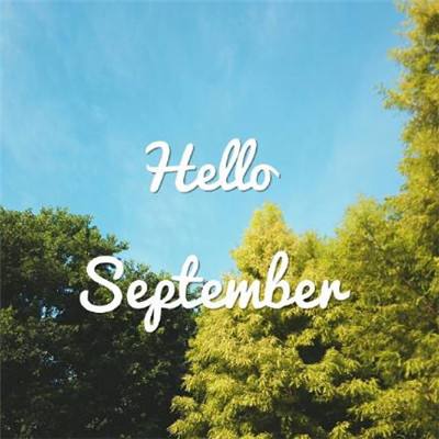 开元ky7818老版本手机app下载